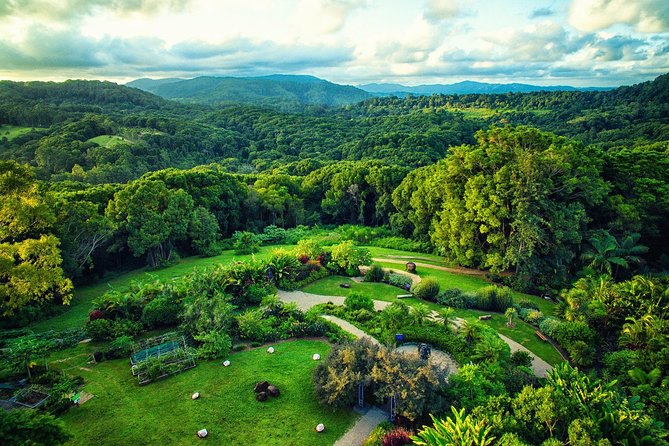 Near Gold Coast: Crystal Castle Admission Ticket - Key things I’d circle before you go