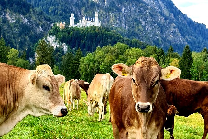Neuschwanstein Castle, Ettal Abbey and Oberammergau Private Tour from Munich - Ettal Abbey: Baroque sights plus Benedictine life that continues