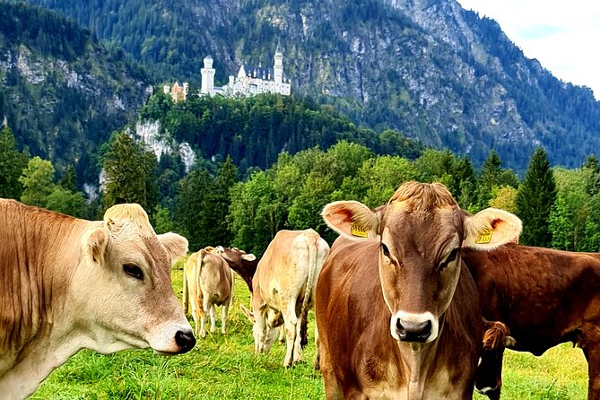 Neuschwanstein Castle Tour with Skip the Line from Hohenschwangau - The Horse Carriage Ride Down to Hohenschwangau Village
