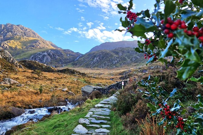 North Wales & Caernarfon Castle Full-Day Tour from Manchester - Betws-y-Coed: your 1-hour village breather