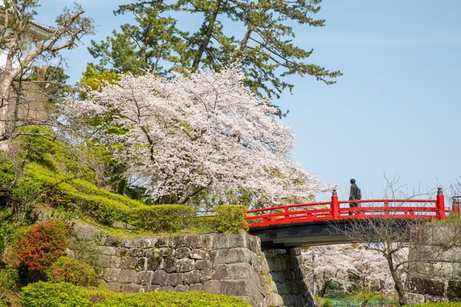 Odawara: Odawara Castle Tenshukaku Entrance Ticket - Meeting at the main keep entrance and pacing your visit