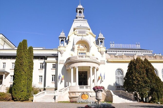 One Day Private Tour to Peles and Dracula Castles & Brasov City - Bran Castle and the Dracula Name: What to Expect in Your Time Slot