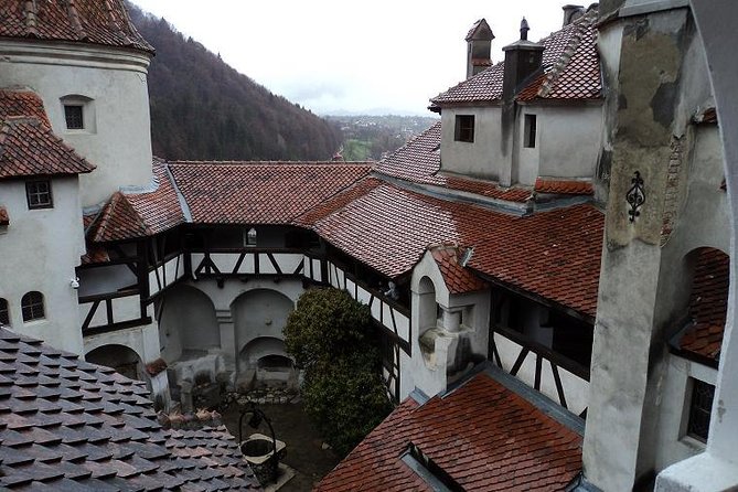 One day trip Bear Sanctuary, Dracula Castle, Rasnov Fortress from Brasov - How the guide and A/C van keep the day from feeling like a grind