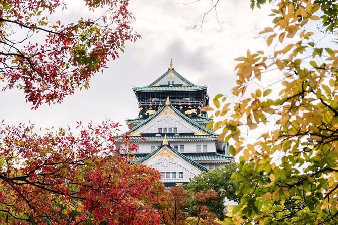 Osaka Castle Walking Tour - Small-group size: why 12 people matters