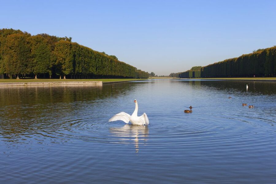 Palace of Versailles Guided Afternoon Tour from Paris - The Queen’s Private Apartment: a different Versailles mood