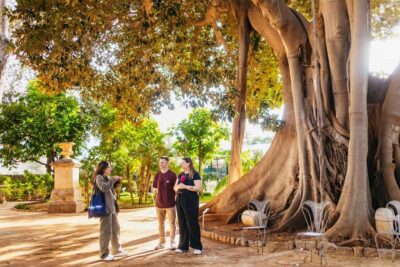 Palermo: Norman Palace and Palatine Chapel Tour with Tickets - Quick Value Check: What $82 Buys You in 90 Minutes