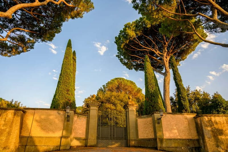 Papal Palace and Secret Garden Ticket and Audio Guide - Moro Garden and the Secret Garden: the walk that makes the ticket feel complete