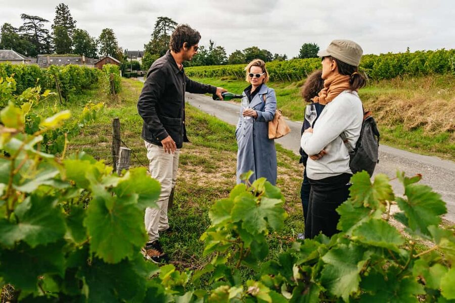 Paris: Loire Valley Chambord Castle, Wine Tasting & Lunch - The Loire drive: vineyards, castles in the distance, and grape names you’ll recognize