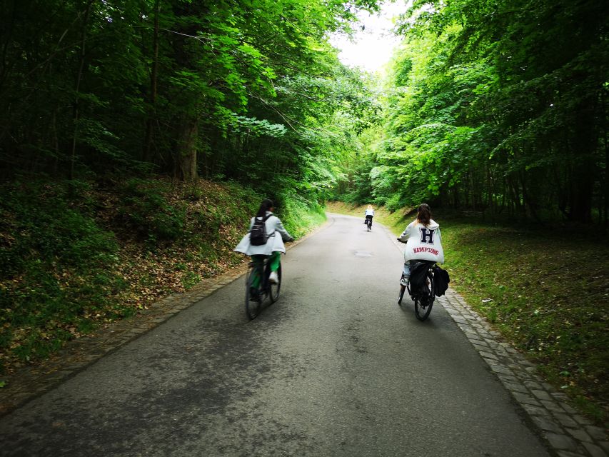 Paris: Versailles Palace and Queen Hamlet E-Bike Tour - Notre-Dame market picnic: where the lunch becomes the experience