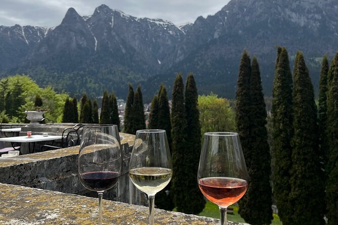 Peles & Cantacuzino Castles: Gourmet Wine & Cultural Day trip - Small-group pace and the guide’s role