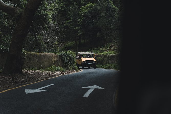 Pena Palace Jeep Safari - What You’ll Walk Away With (besides photos)
