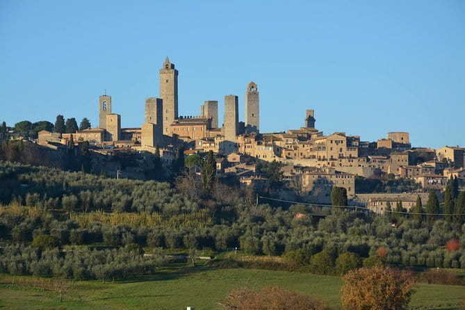 Pitti Palace and Boboli Gardens Private Tour - What Guides Actually Add (Beyond Pointing)