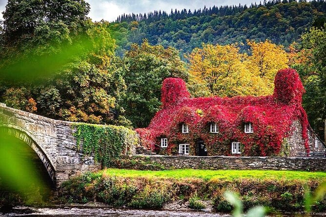 Portmeirion, Castles and Snowdonia Tour - A 9-hour North Wales mix that works (even if you don’t have a car)