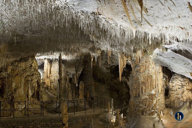 Postojna cave, Predjama castle and Piran tour from Ljubljana - Guide style and group size: why it feels smoother in practice