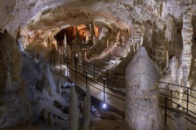 Postojna Cave & Predjama Castle from Trieste - Postojna Cave: electric train magic plus proteus (olm) time