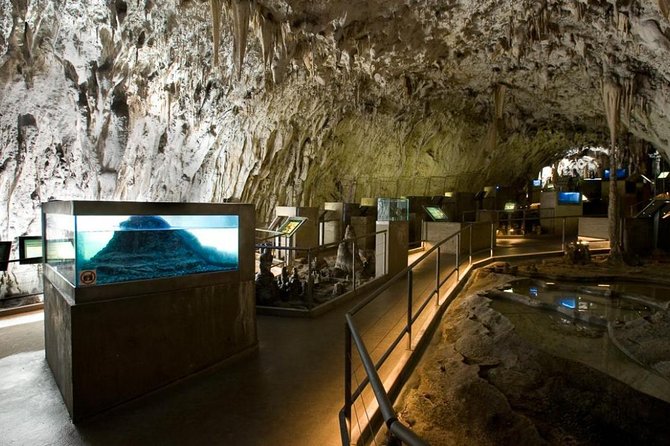Postojna Cave & Predjama Castle - Small Group Tour from Trieste - Trieste Pickup and the Drive Into Slovenia