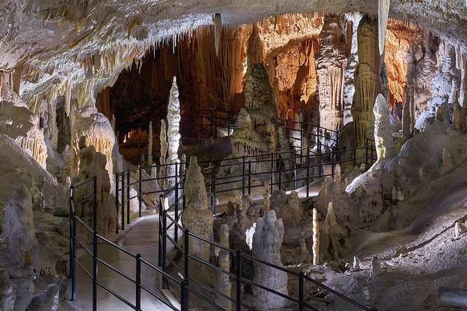 Postojna Cave & Predjama Castle - Small Group Tour from Trieste - Postojna Cave: Electric Train, Proteus Viewing, and Real Cave Walking