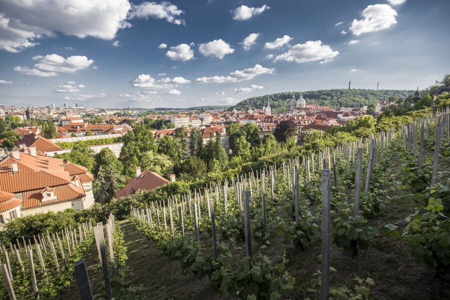 Prague: 3–Hour Castle Grounds Walking Tour and River Cruise - The River Vltava Cruise: Refreshments and Views Up to Devil’s Stream