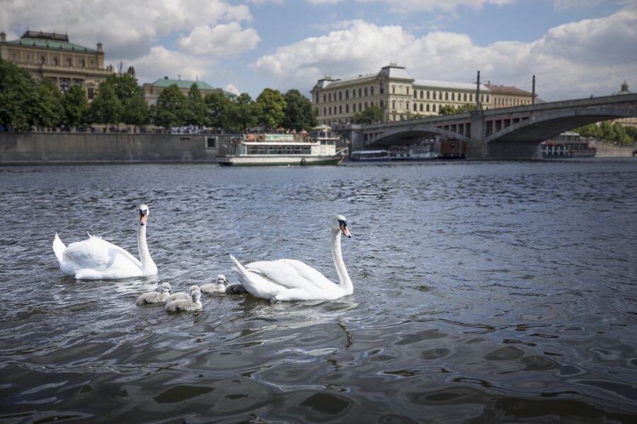 Prague: 3–Hour Castle Grounds Walking Tour and River Cruise - Tram to Castle Hill: How to Think About the One Extra Ticket