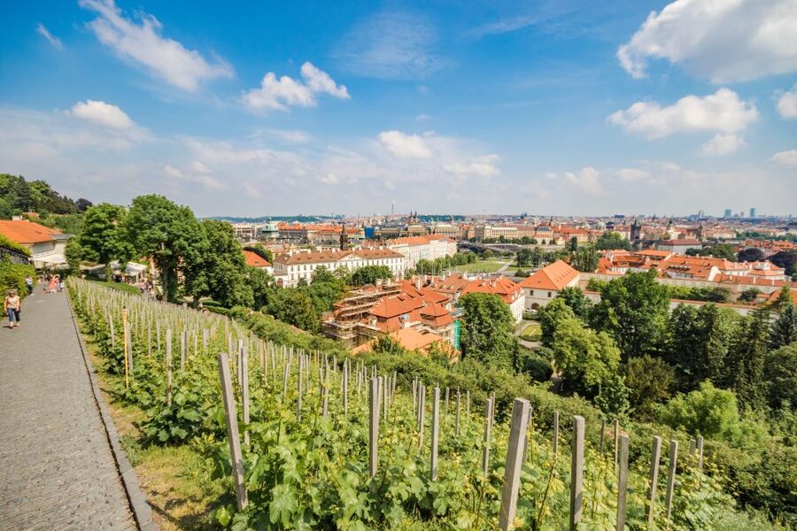 Prague Castle 2.5-Hour Tour Including Admission Ticket - Tram Up from Lesser Town Square: A Small Ride That Changes Everything