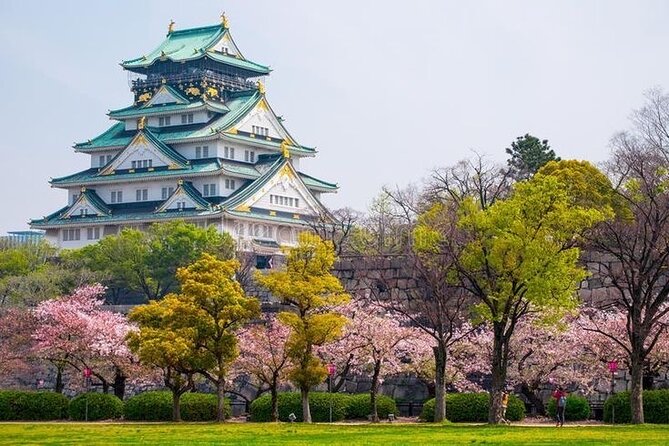 PRIVATE 6hr, Food tour from Osaka Castle, Kuromon, Dotonbori. - Key takeaways before you go