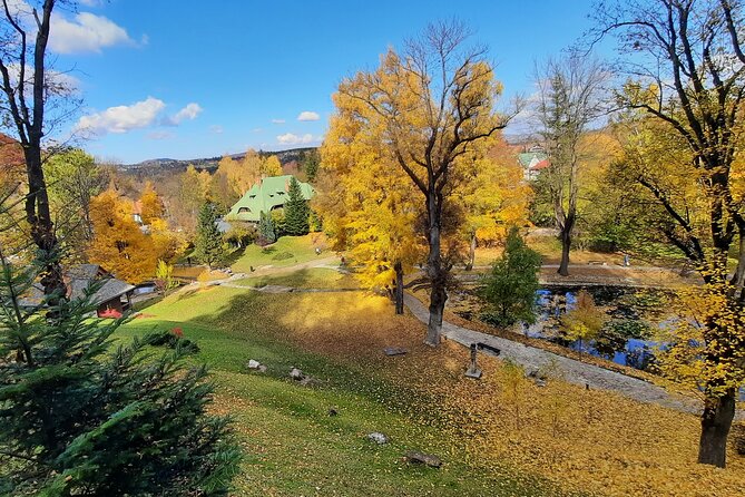 Private Day Tour in Transylvania, Peles and Bran Castles from Brasov - Bran Castle: Dracula vibes, plus the real context behind the name