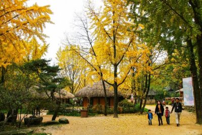 Private Day Trip to Korean Folk Village and Hwaseong Fortress - Yeonmudae and Archery: Military Fortress Meets Hands-On Fun