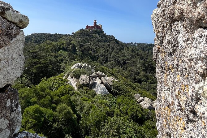 Private Half Day - The Majestic Pena Palace & Sintra - Choosing Between Regaleira Gardens and Sintra’s Historic Center