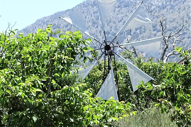Private Tour-Knossos Palace Zeus Cave Olive Oil Mill & Wine - Private Lasithi Plateau and Knossos: why this route feels different