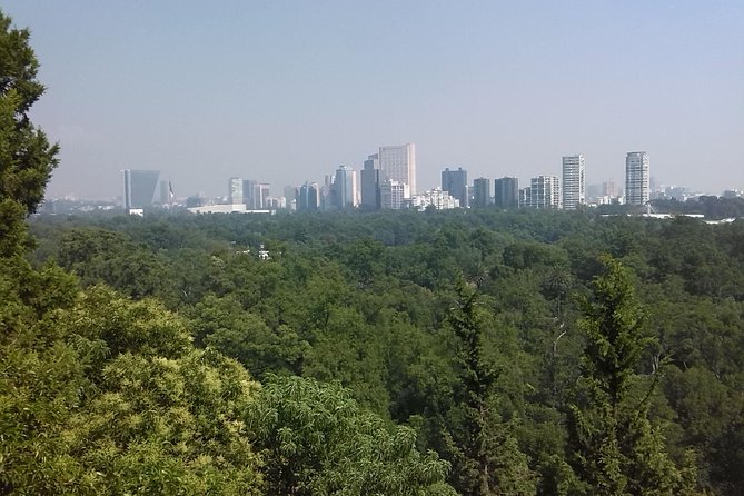 Private Tour Museum of Anthropology and Chapultepec Castle. - Stop 1: Chapultepec Castle on the Hill of Chapulín