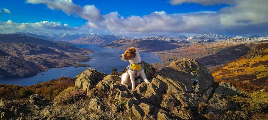 Private Tour of Highlands, Lochs & Castles from Edinburgh - Rannoch Moor, Loch Tulla, and the moorland feel: wide spaces and big-weather moments