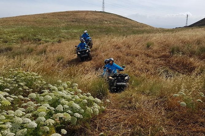 Quad Tour Excursion from the Castle to the Sea - Price and Value: Is $84.69 a Fair Deal?