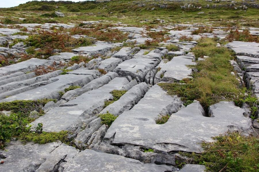 Rail Tour: The Cliffs of Moher & Bunratty Castle Tour - Price and logistics: what you’re really paying for
