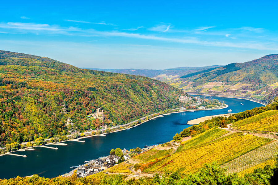 Rhine Valley Castles: 1.5-Hour Boat Tour from Rüdesheim - Key highlights to notice before you go