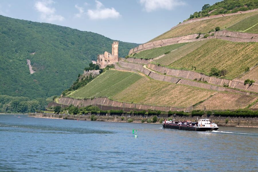 Rhine Valley Castles: 1.5-Hour Boat Tour from Rüdesheim - Bingen and the Rhine park: when the cruise turns into a day plan