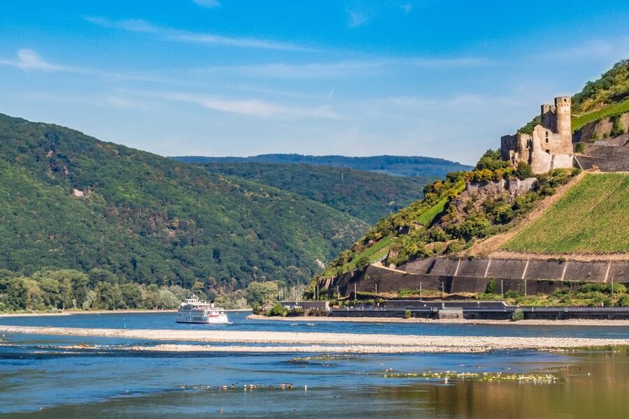 Rhine Valley Castles: 1.5-Hour Boat Tour from Rüdesheim - Nahe river confluence and Klopp Castle: the little geography moments