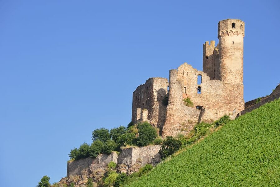 Rhine Valley Castles: 1.5-Hour Boat Tour from Rüdesheim - Niederwald Monument and Osteinpark: the grand finale from the deck