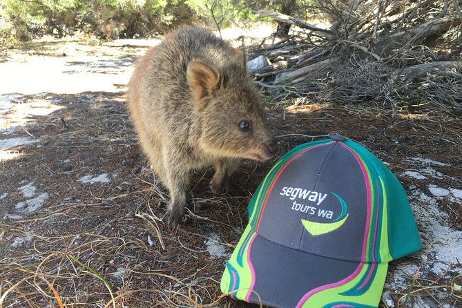Rottnest Island Segway Tour: Fortress Adventure Tour - Practical tips for a smooth Rottnest Segway day