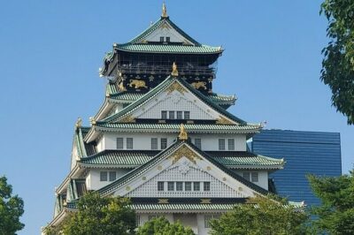 [Same Day OK] Osaka 4 hour, Castle, Market, Walking tour - Osaka Castle Grounds: Big Views and Optional Ticket Time