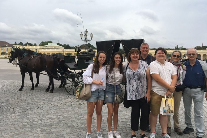 Schönbrunn Palace and Gardens Tour - Entering the palace: Great Gallery, Yellow Salon, and the Sisi vs. Franz Joseph story