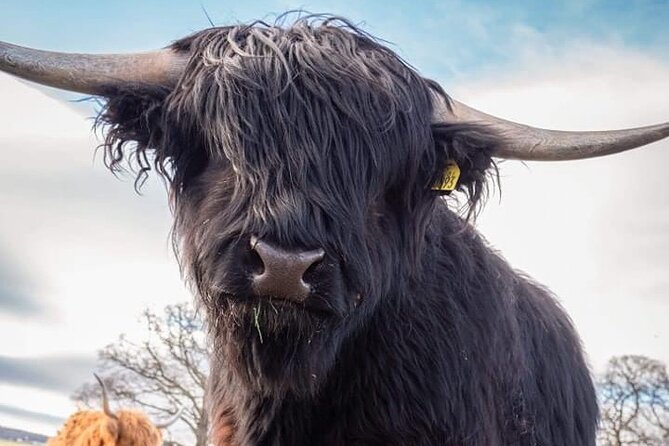 Secret Loch Ness, Inverness Castle visit, Culloden, Clava Cairns - Culloden Battlefield: the quick stop that makes everything click