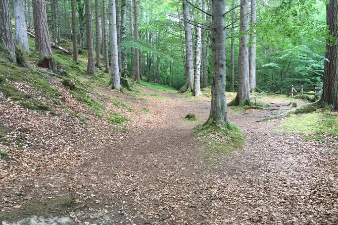 Secret Loch Ness with Cawdor Castle and Clava Cairns - Clava Cairns: Bronze Age stones with an Outlander-style time twist