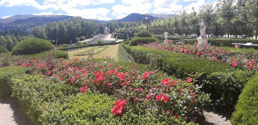 Segovia: Royal Palace of La Granja de San Ildefonso Tour - Who this tour suits best (and who might want a different option)