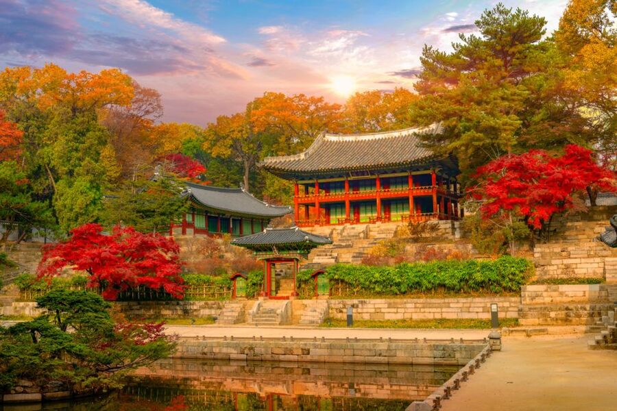 Seoul: Gyeongbok Palace and Bukchon Hanok Walking Tour - Tips to Make the 3 Hours Feel Easier