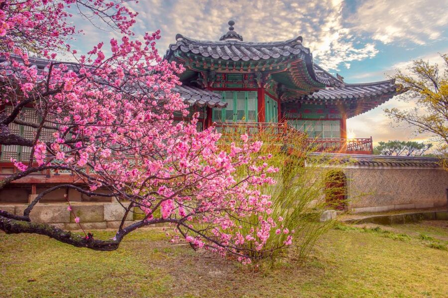 Seoul: Gyeongbok Palace and Bukchon Hanok Walking Tour - The National Folk Museum: Joseon Daily Life in 98,000+ Objects