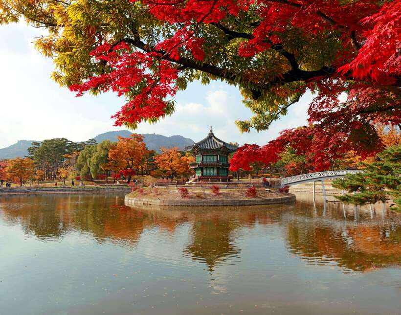 Seoul Highlights: Gyeongbok Palace, Insadong & N Seoul Tower - Key highlights worth your time