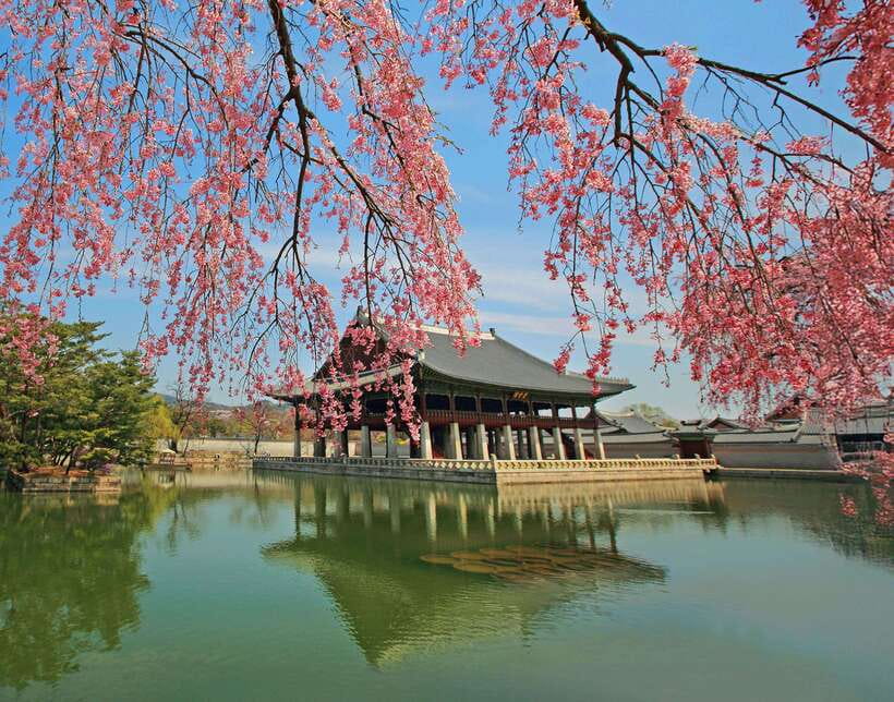Seoul Highlights: Gyeongbok Palace, Insadong & N Seoul Tower - Starting at Jogyesa and Gwanghwamun: the day gets grounded fast