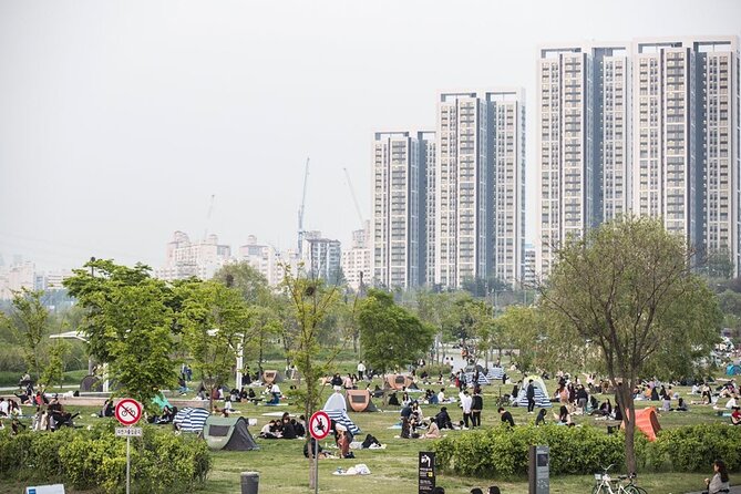 Seoul Night Tour with Han River Cruise and Gyeongbokgung Palace - Nodeul Island on the Han River: the calm brake in the middle of the day