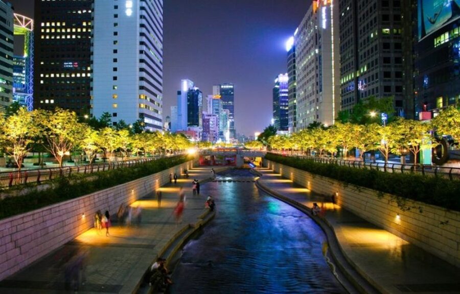 Seoul: Nighttime Tour of Palace, Market, Naksan Park & More - Key moments that make this Seoul night tour work