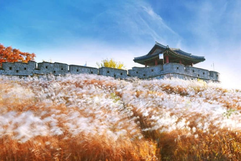 Seoul: Suwon Hwaseong Fortress & Korean Folk Village Tour - Who This Tour Suits Best (and Who Should Rethink It)